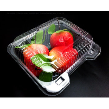 Pet Clear Plastic Compartment Take Away Salad Food Container Tray 6